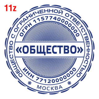 С защитой — образец 11